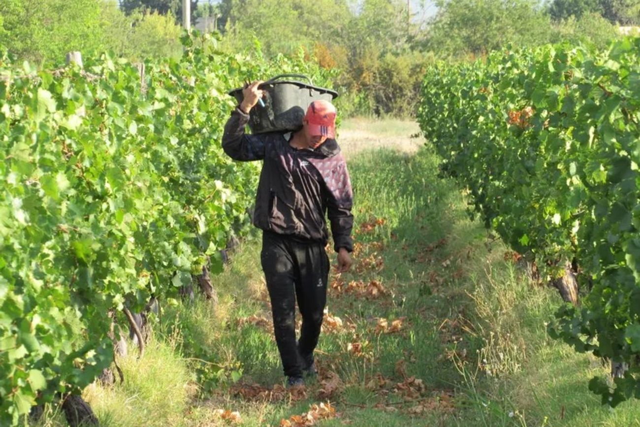 Sueldos rurales en julio 2026: cuánto cobra cada categoría y quiénes superan los $2,5 millones.