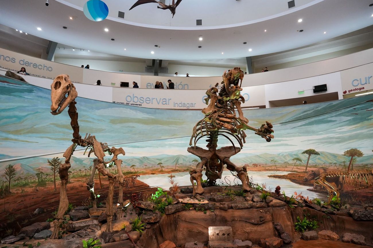 El Museo de Ciencias Naturales de Córdoba funcionará con entrada gratuita hasta el 27 de julio.  