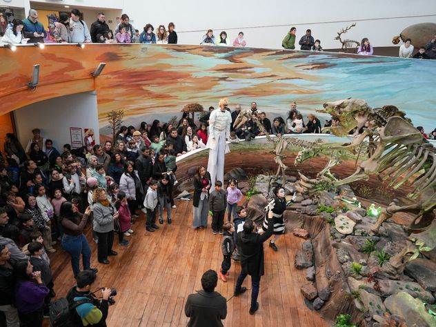 El Museo de Ciencias Naturales de Córdoba funcionará con entrada gratuita hasta el 27 de julio.