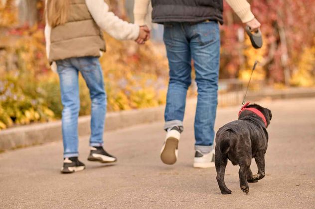 Los perros leen las emociones humanas y obedecen cuando sus dueños están contentos.
