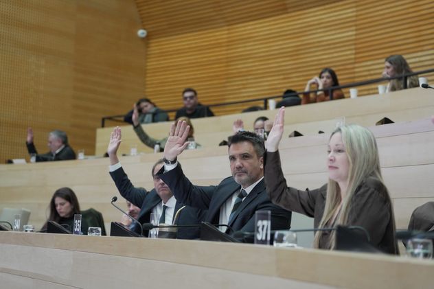 Legisladores oficialistas, en la aprobación de la ley antibúnker.
