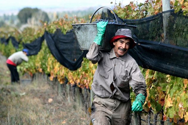 Sueldos rurales en julio 2026: cuánto cobra cada categoría y quiénes superan los $2,5 millones.