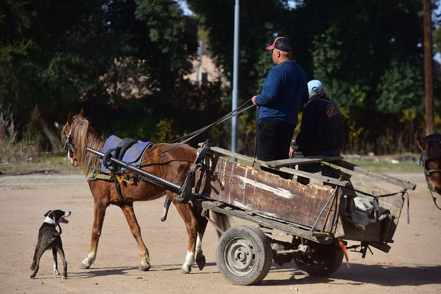 Carreros de la Cooperativa La Igualdad piden que les entreguen los vehículos de carga.