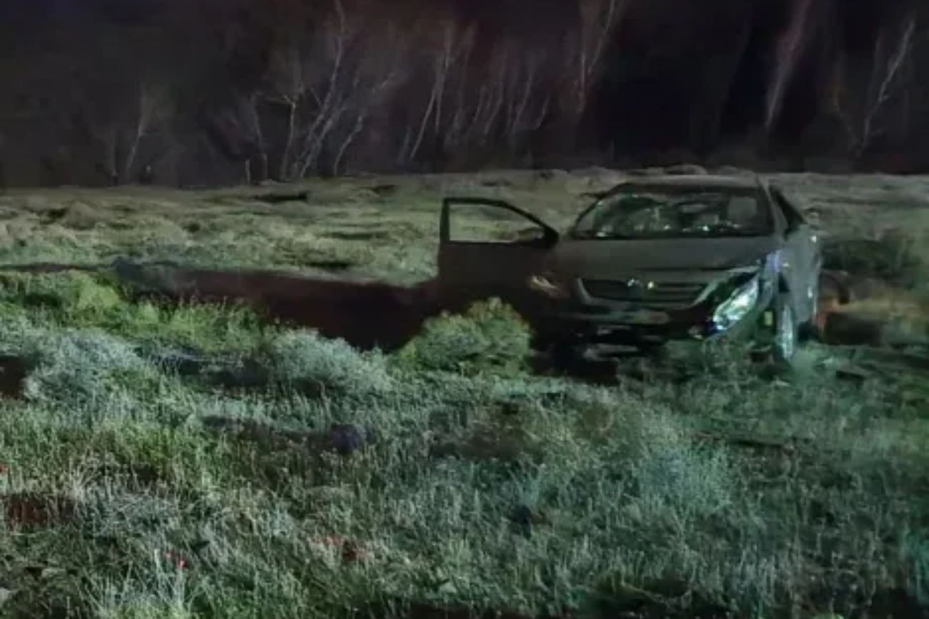 Neuquén: un joven de 20 años murió al despistarse y caer con su auto por un barranco de 50 metros. (Gentileza LM Neuquén)
