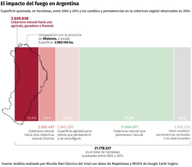 Infografía que se integra al informe elaborado por el sitio Ruido.