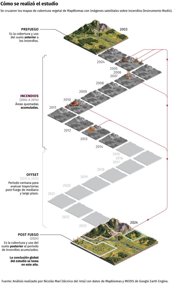 Infografia que integra el informe elaborado por el sitio Ruido.  