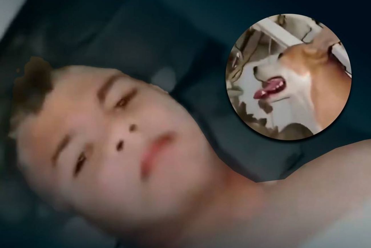 Niño sobrevivió gracias a su perro.