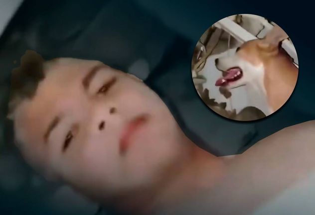 Niño sobrevivió gracias a su perro.