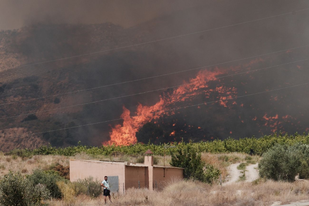 Un incendio forestal arrasa Alfajir, cerca de Almería, en el sureste de España, el viernes 10 de julio de 2026.
