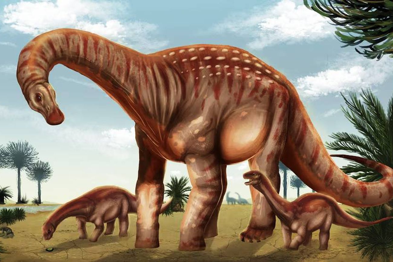 El hallazgo de dos huesos de la cola en el norte de Uruguay permitió identificar a Mesetasaurus protector, una nueva especie de dinosaurio.