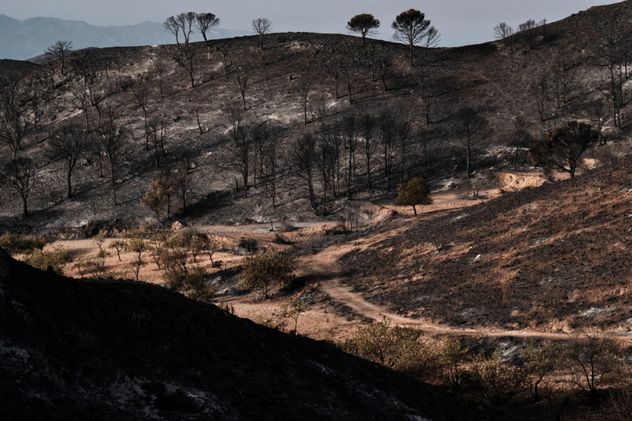 Al menos 12 muertos y 23 personas desaparecidas por los voraces incendios en España. 