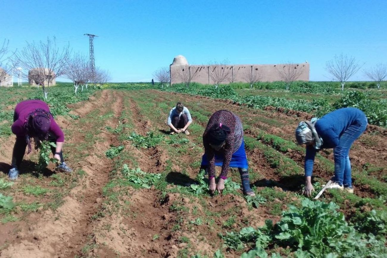 Jinwar, el pueblo de mujeres que apuesta por la vida sustentable y la autonomía