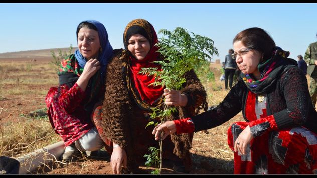 Jinwar, el pueblo de mujeres que apuesta por la vida sustentable y la autonomía