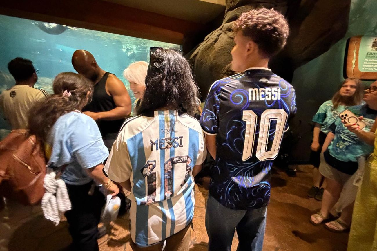 Cuando la ansiedad te lleva a mirar tiburones para esperar el Argentina-Inglaterra
