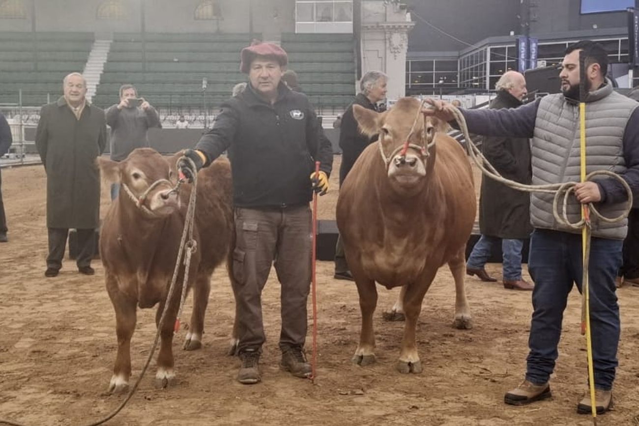 Tini Tini y De Paul inauguraron el ingreso de animales a la Expo Rural de Palermo 2026