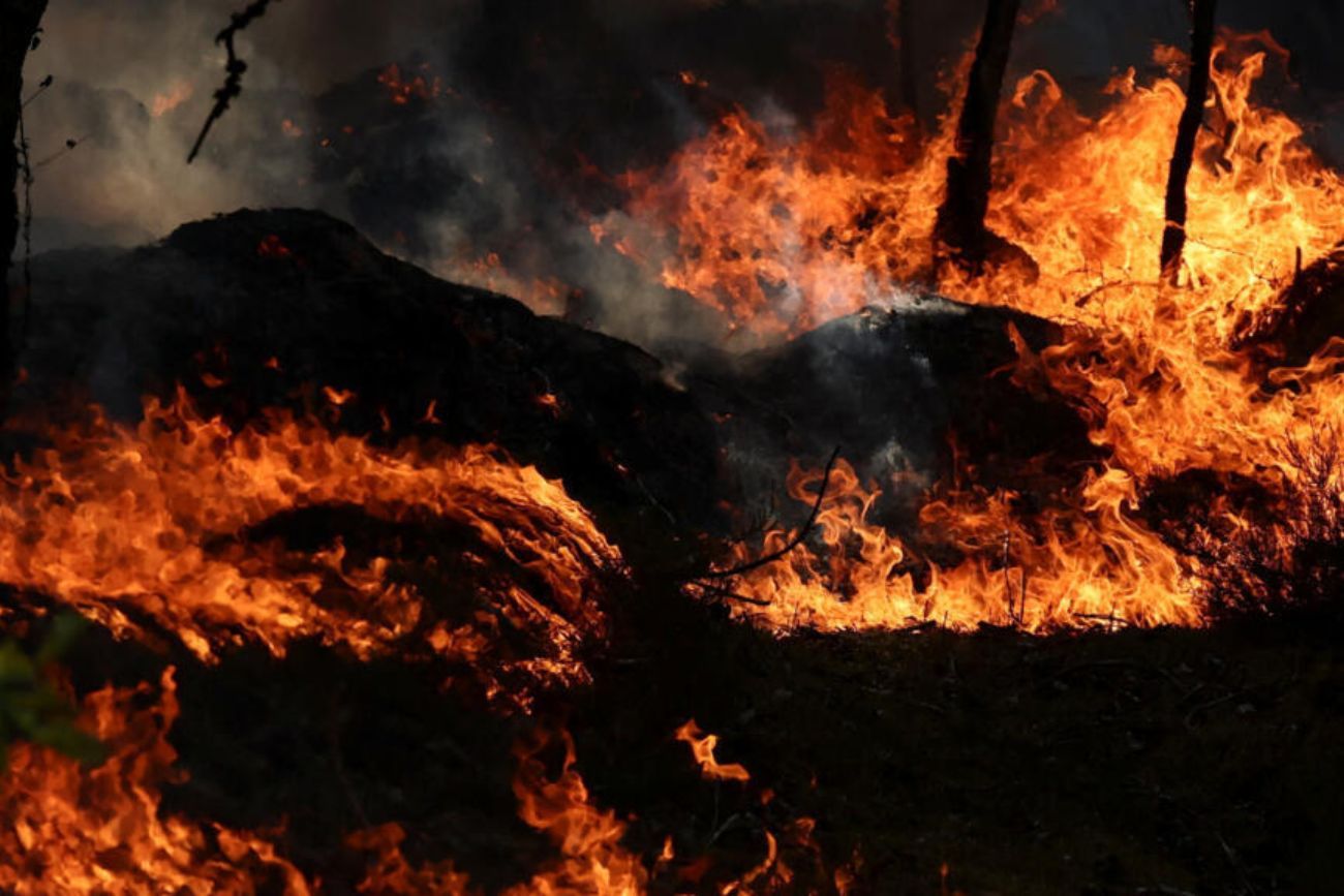 Detuvieron a dos jóvenes por los incendios en un bosque de Francia: uno de ellos es bombero voluntario