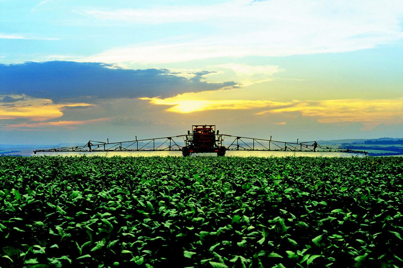 APLICACIONES. Un marco legal nacional en materia de uso de productos fitosanitarios ayudaría a darle previsibilidad a los productores y también a la sociedad urbana.
