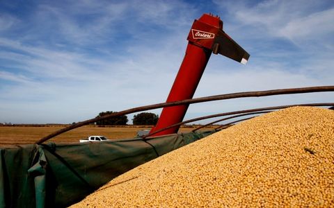 CAMPAÑA ACTUAL. La producción quedó solamente 200.000 toneladas atrás que la campaña anterior.
