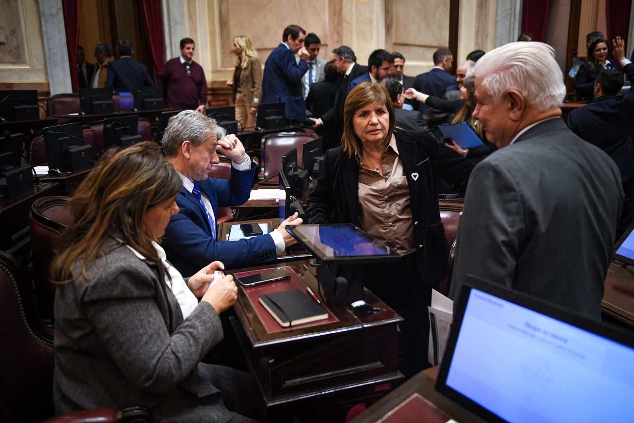 Revés para el Gobierno: se postergó para el 6 de agosto la votación de la ley de venta de tierras