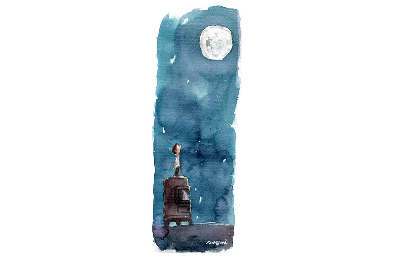 El plateado encanto de la Luna