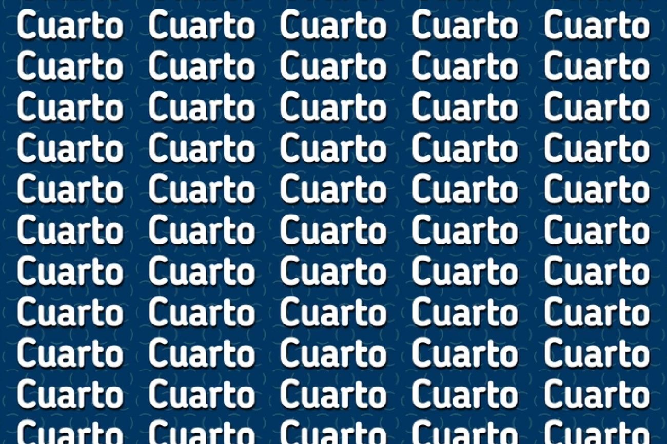 El acertijo visual.