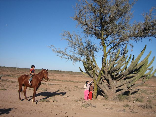 Los niños muestran las virtudes del chañar, un árbol que alimenta, cura y forma parte de la identidad del monte.
