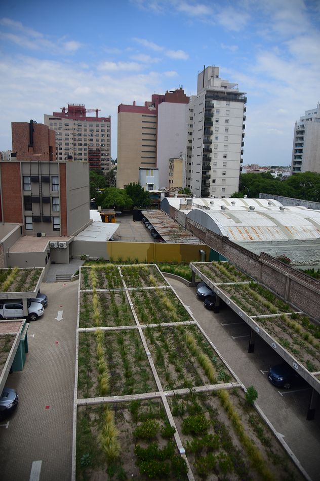 Techos verdes en un estacionamiento de barrio Güemes.