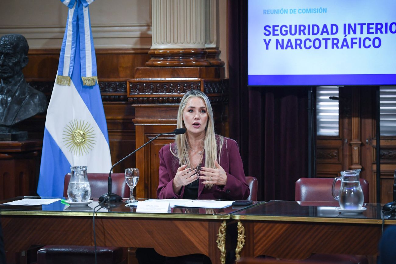 La senadora nacional Carolina Losada (UCR), autora del proyecto de ley sobre falsas denuncias