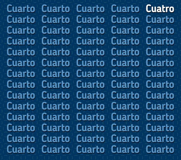 El acertijo visual.