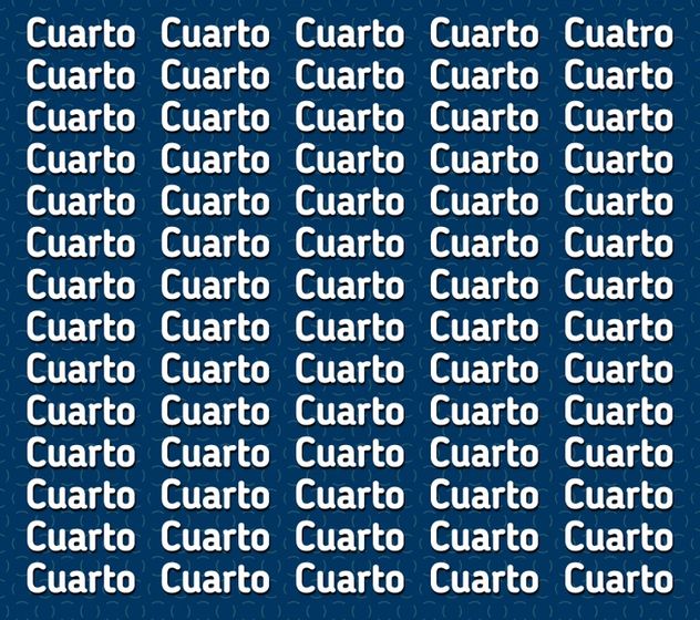 El acertijo visual.