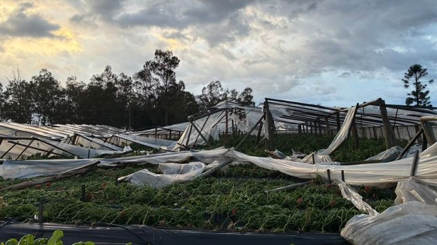 Fuerte tormenta azotó el Salto, departamento ubicado al norte de Uruguay.
