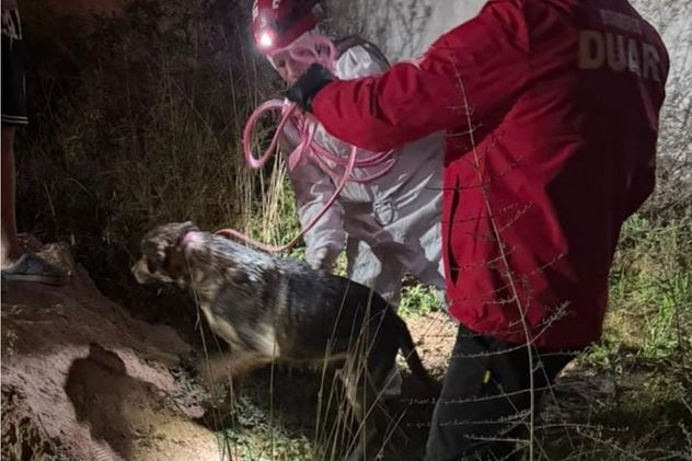 Rescataron a un perro que cayó a un pozo en barrio El Pueblito.