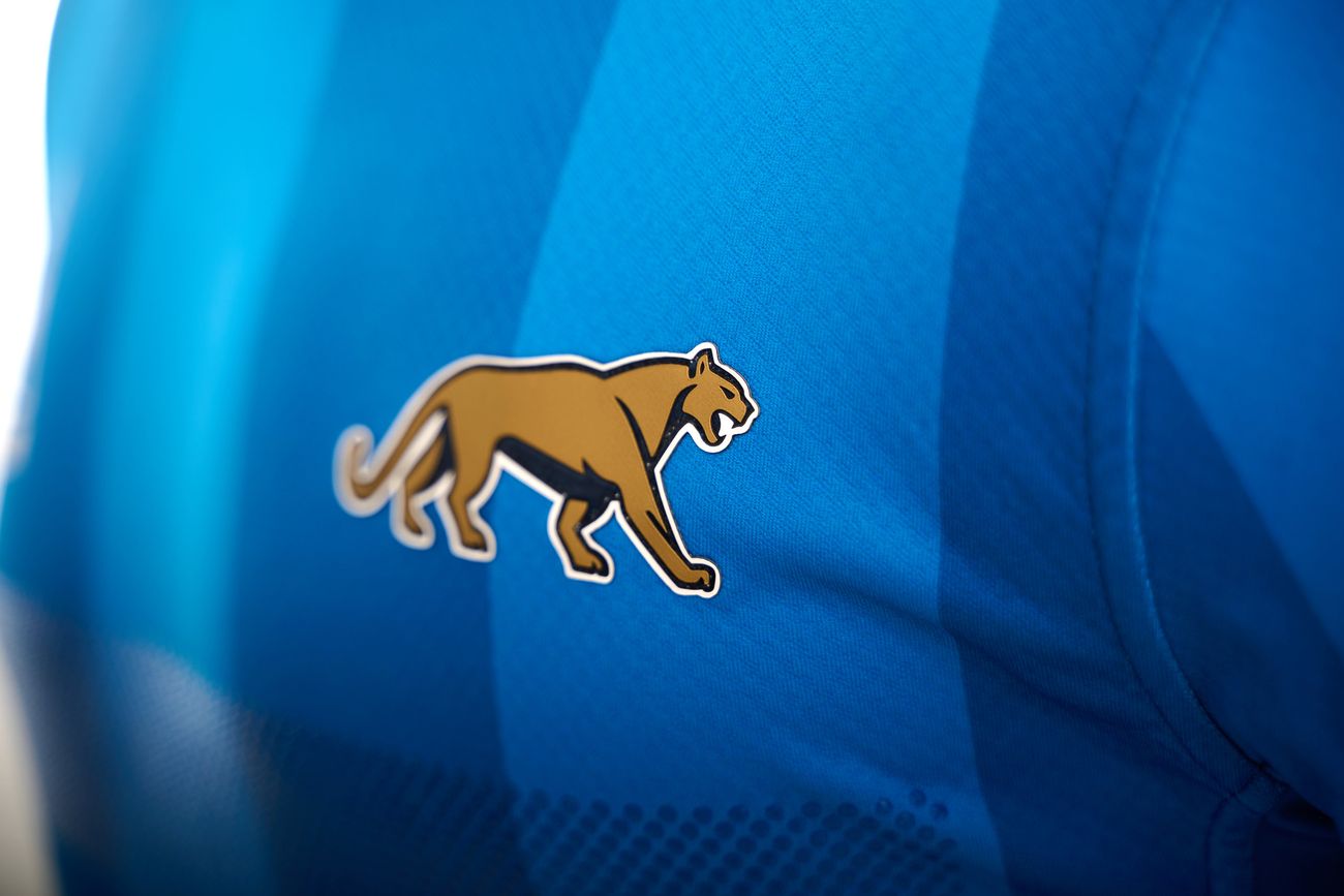 La icónica camiseta con la que Los Pumas salieron a jugar contra Inglaterra.