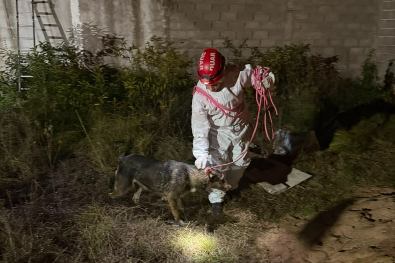 Rescataron a un perro que cayó a un pozo en barrio El Pueblito.
