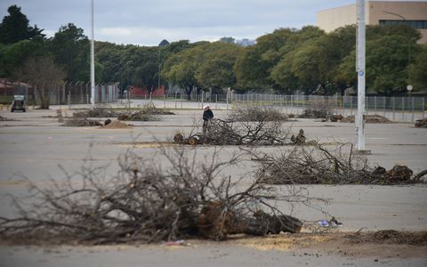 Tala de arboles en el viejo estacionamiento del Estadio Kempes. (Pedro Castillo / La Voz) 