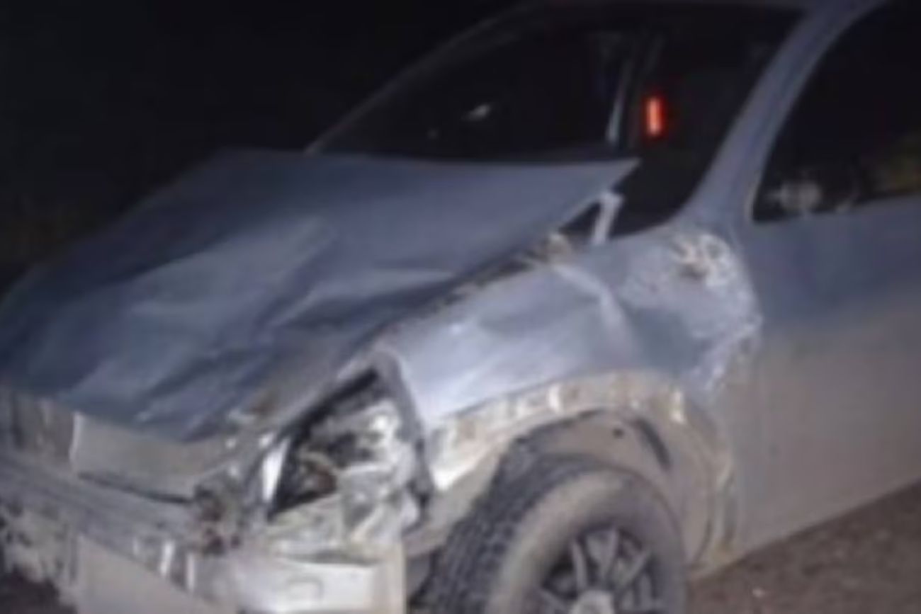 Chubut: un ternero cayó de un camión en plena ruta y provocó un fuerte choque