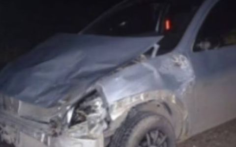 Chubut: un ternero cayó de un camión en plena ruta y provocó un fuerte choque