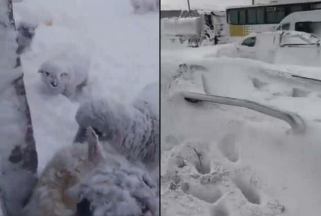 Impactante nevada en Catamarca dejó a mineros varados.