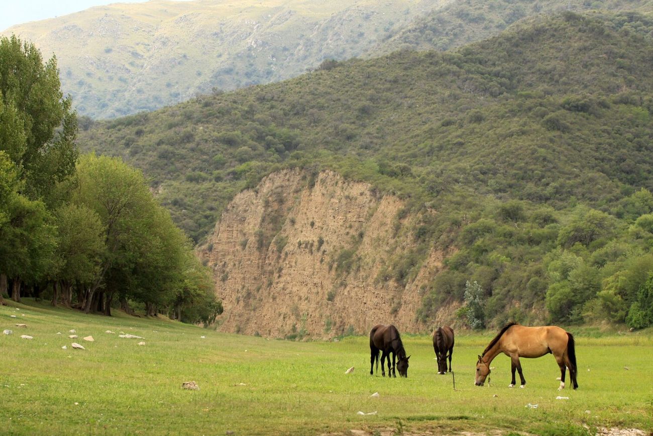 Pocos lo conocen: el rincón oculto de Córdoba ideal para una escapada entre las sierras.
