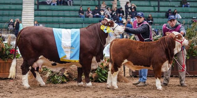 LA GRAN CAMPEÓN. Sorpresa junto a su cría al pie.