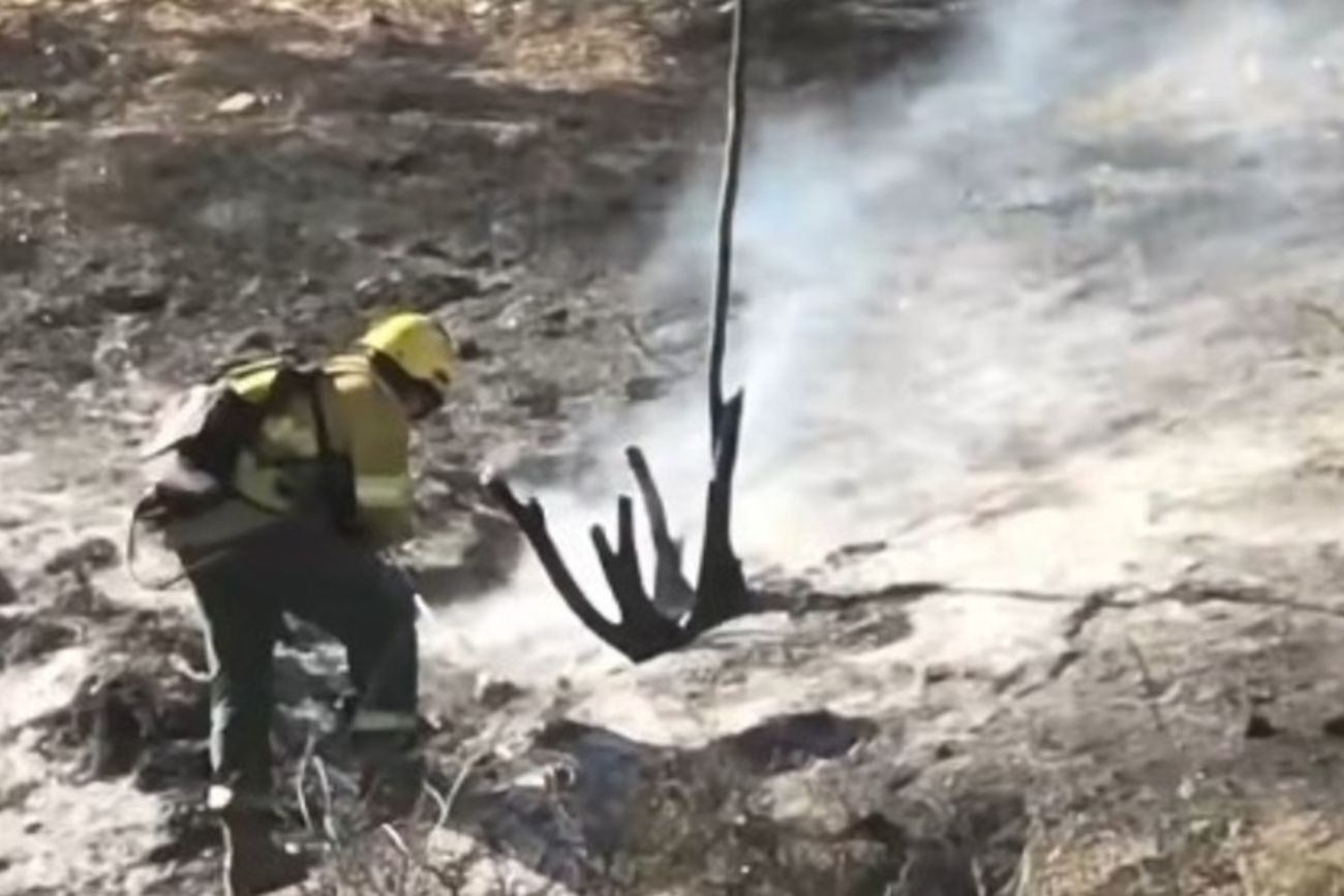 Salta: un productor murió al intentar salvar a su ganado de los incendios en Nazareno