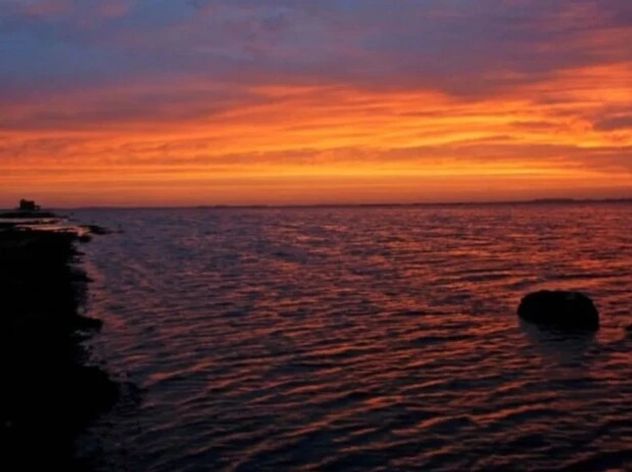 Melincué: el pueblo de Santa Fe con una laguna de flamencos que sorprende a todos los visitantes.