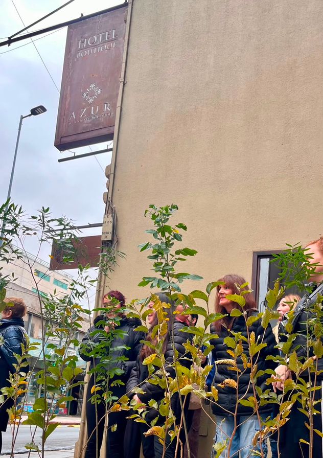 Hotel Azur dona un árbol nativo por cada huésped que se aloja.