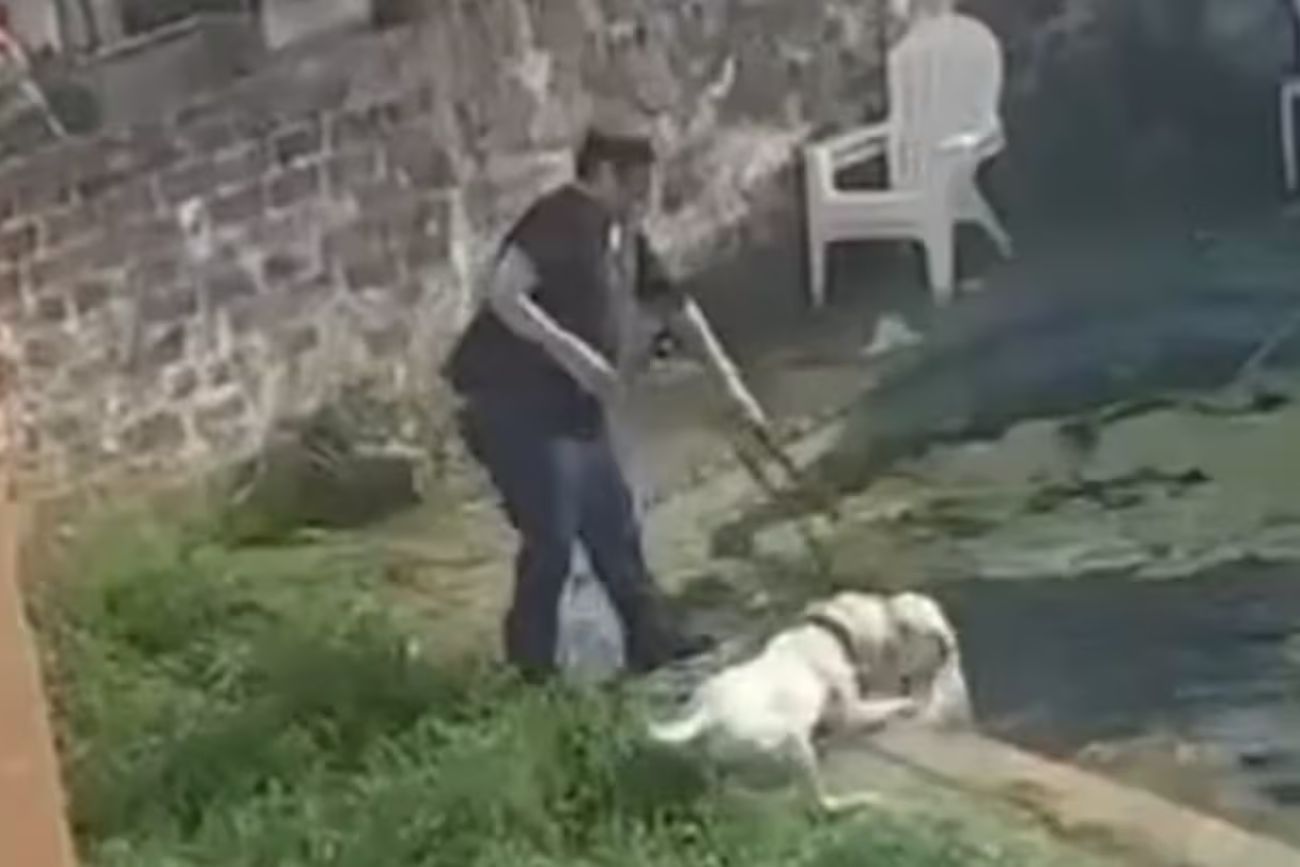 Detuvieron a un supuesto adiestrador por maltrato animal