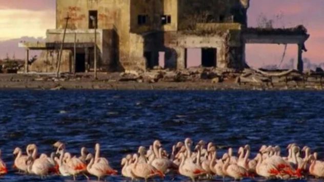 Melincué: el pueblo de Santa Fe con una laguna de flamencos que sorprende a todos los visitantes.