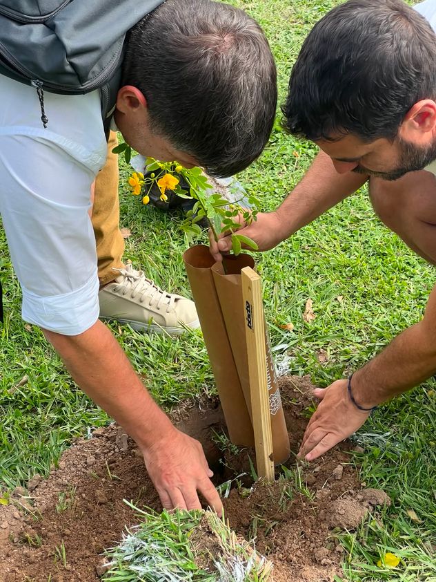 Hotel Azur dona un árbol nativo por cada huésped que se aloja.