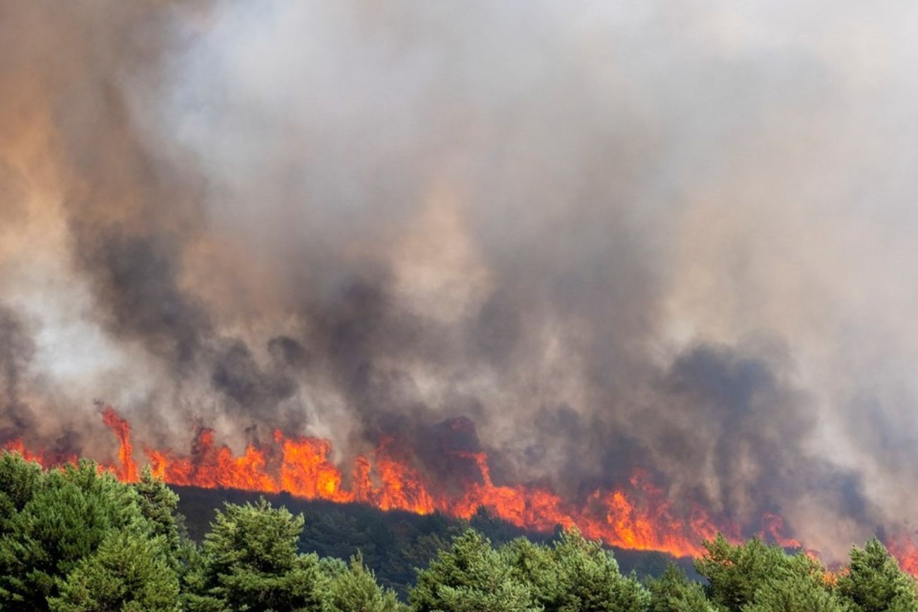 España: el incendio de Guadalajara arrasó 32 hectáreas en medio de una ola de calor histórica