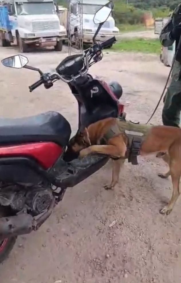 Adaptó 10 kilos de cocaína para intentar ocultarlos en una moto de delivery, fue detenido.