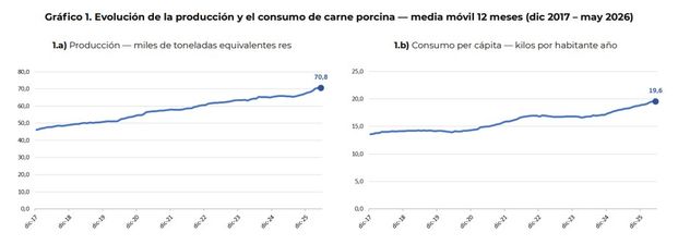 Producción y consumo de la carne porcina en argentina.