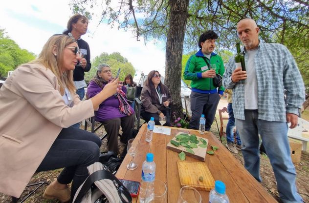 Turismo con circuitos del vino, en bodegas y viñedos., Una opción que crece en el Valle de Trasasierra.